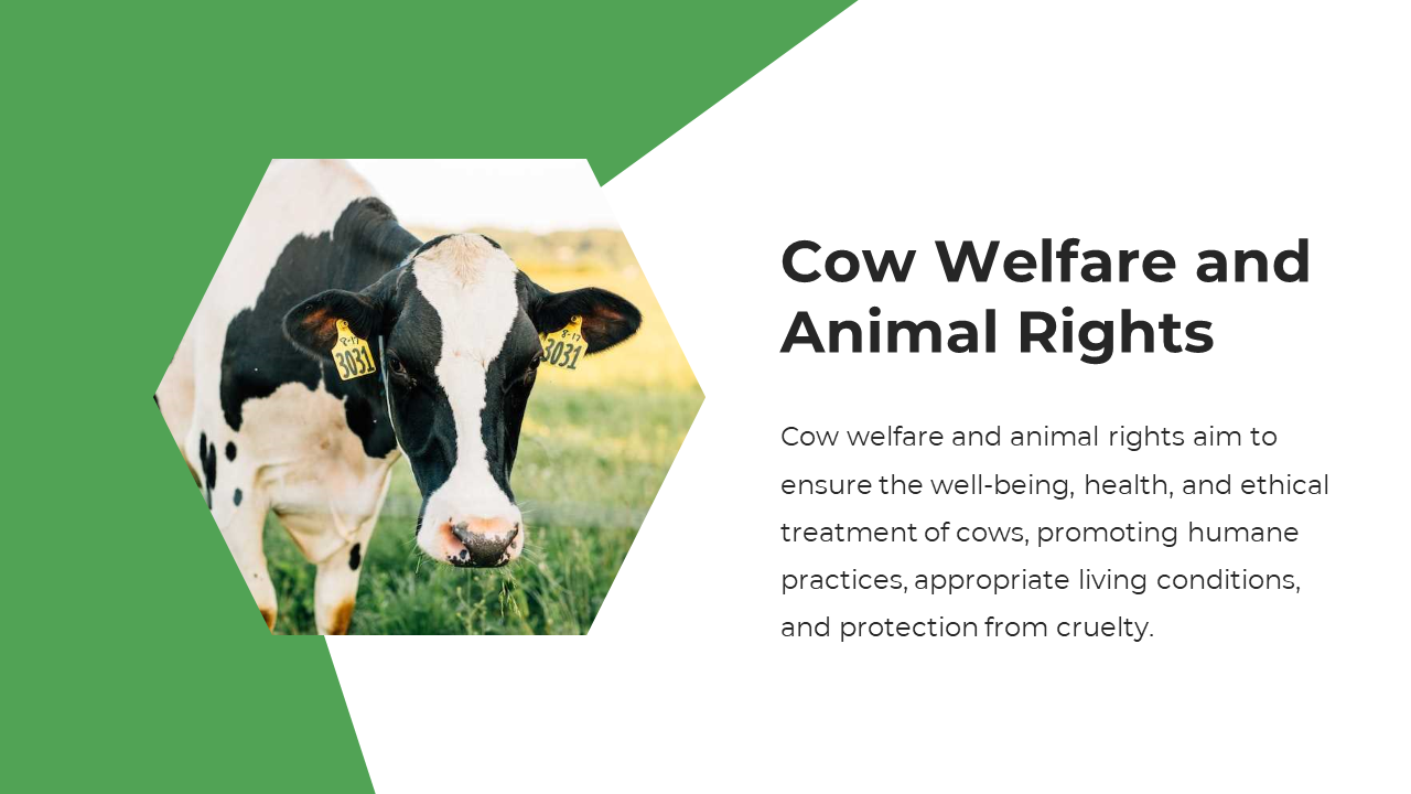 Black and white cow is shown inside a hexagon on the left, with green shapes and right aligned text on a white background.