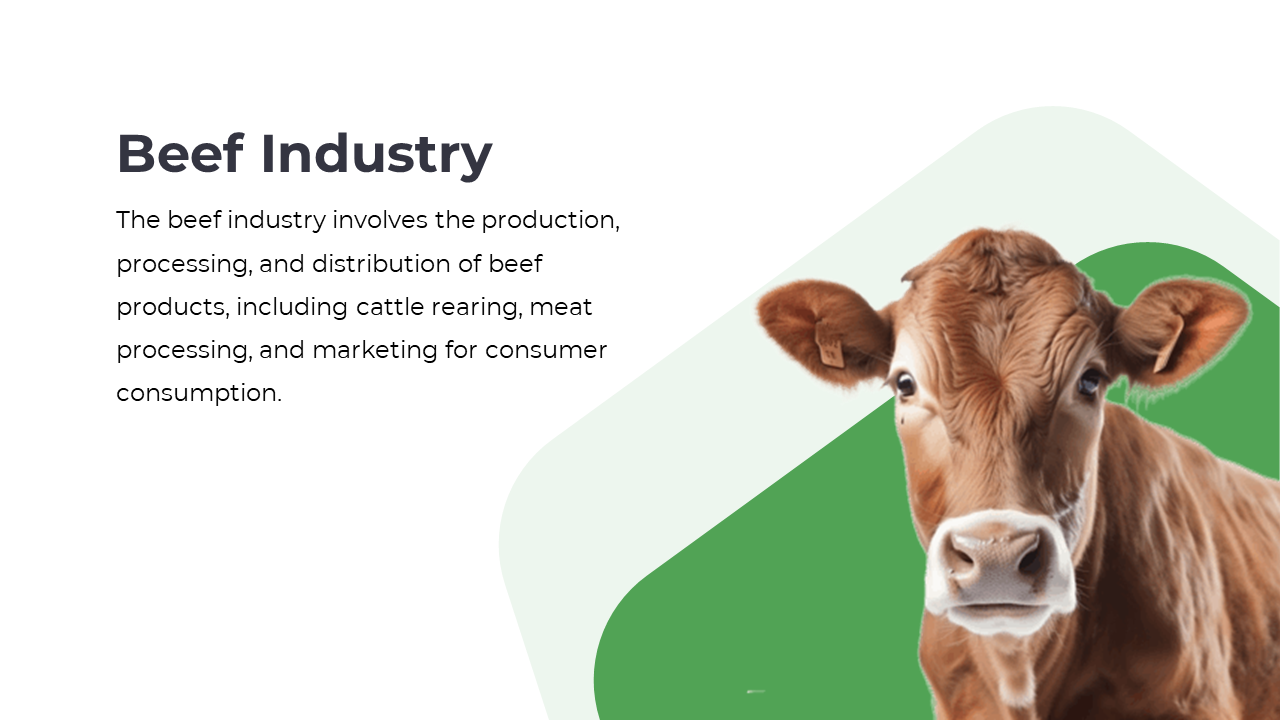 Slide shows a close up of a brown cow on the right with ear tags, placed over abstract green shapes beside text.