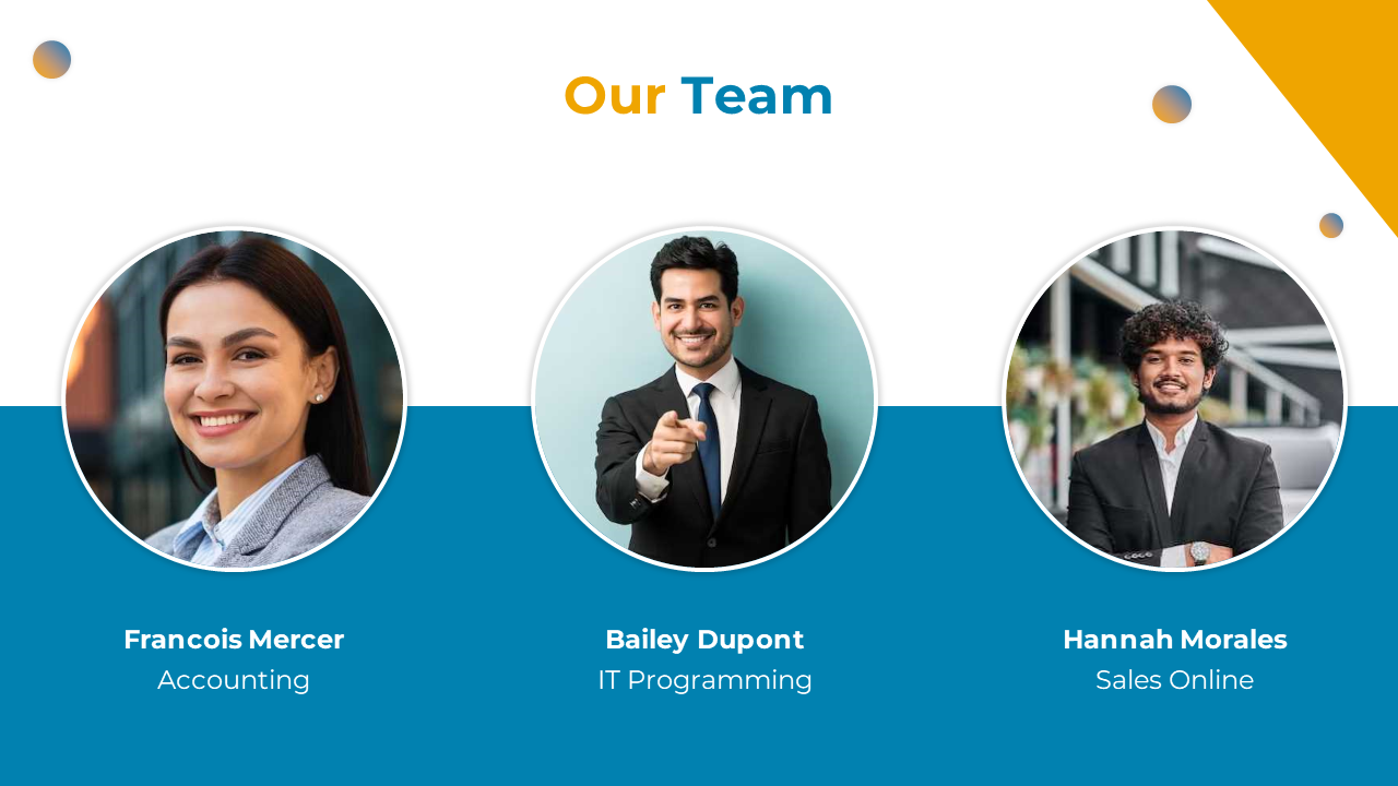 A team of professionals representing different roles in accounting, IT programming, and online sales on a split backdrop.