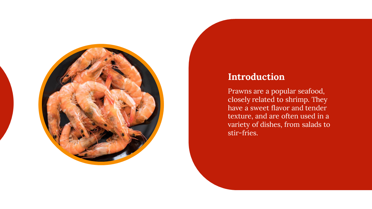 Slide with a large red rounded rectangle on the right containing text and a circular prawn photo on the left.