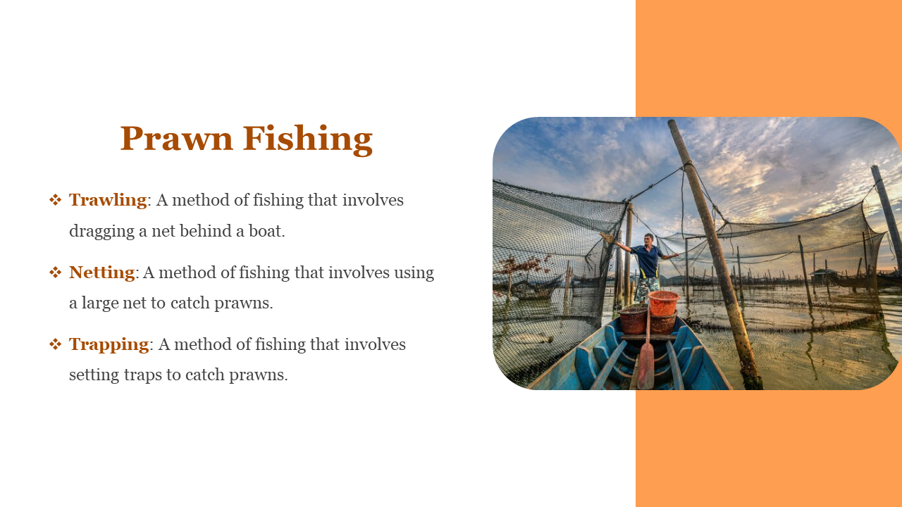 Slide with an orange vertical strip on the right featuring a fishing net photo in a rounded rectangle, and brown text.