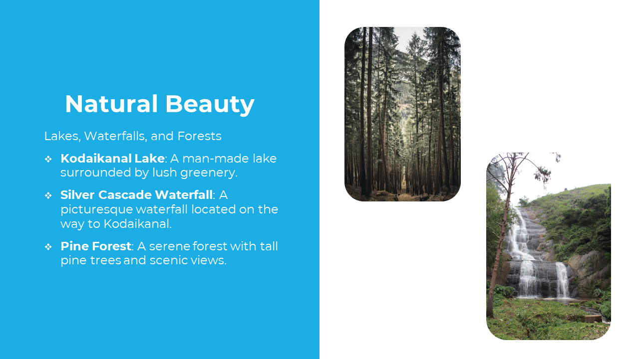 Split layout with blue text block on left and two vertical rounded images of a dense forest and waterfall on right white.