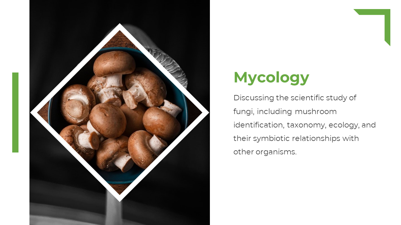 Brown mushrooms in a blue bowl shown in a rotated white diamond frame and green title with text on white right panel.