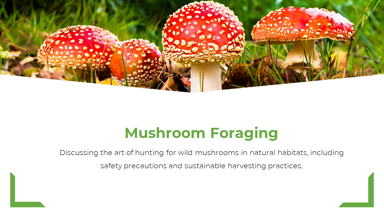 Top shows red mushrooms with white spots in grass and bottom white panel features green heading and black text.