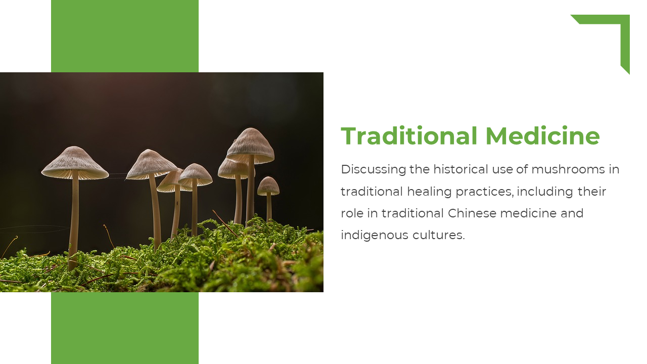 Slide shows thin stemmed mushrooms growing on moss in dim light and right side has green title and text on white background.