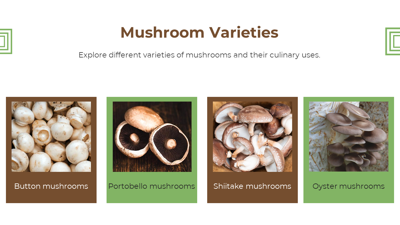 Four square mushroom photos in a row, each with alternating brown and green borders and labels below on a white background