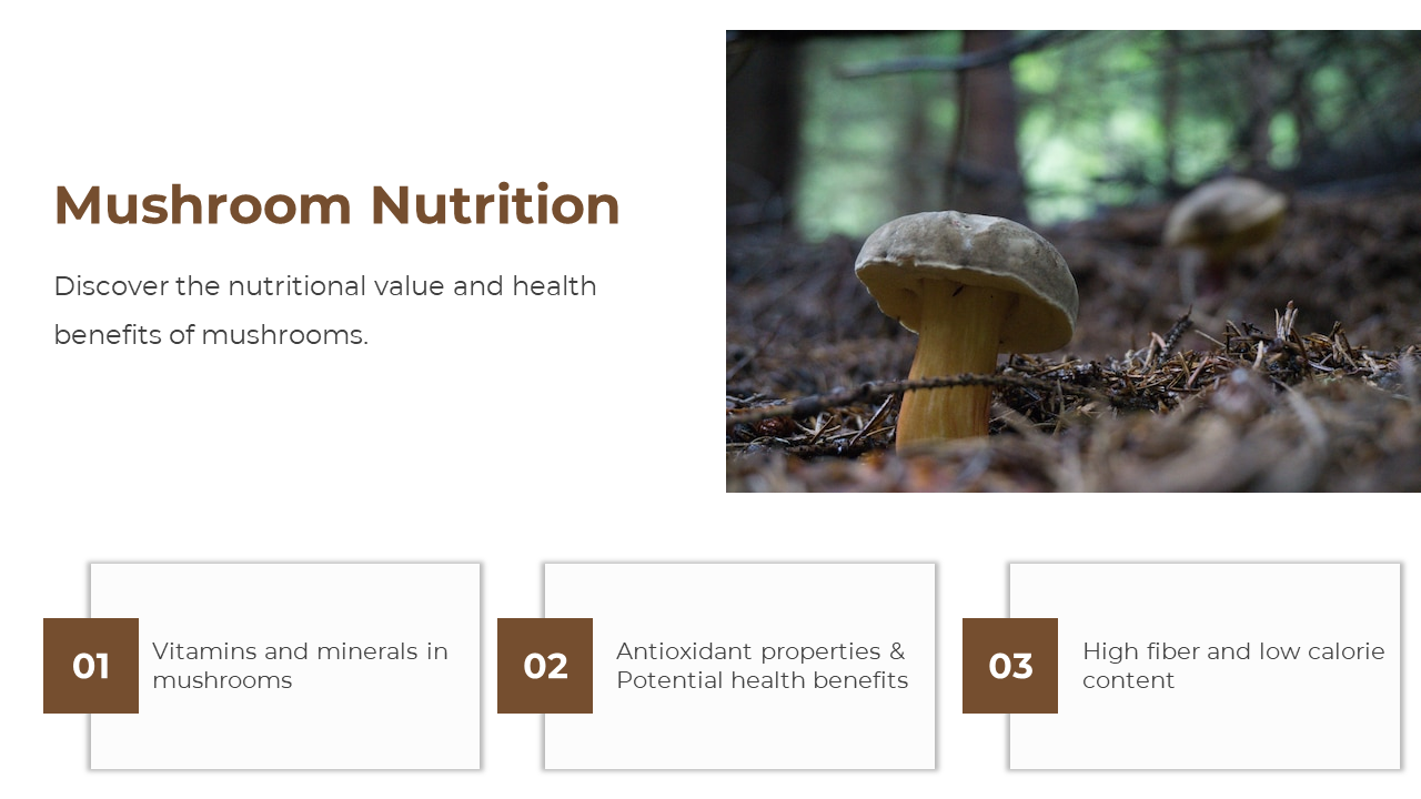Forest mushroom photo and text on left, and three rectangular info boxes with brown square numbers at bottom.