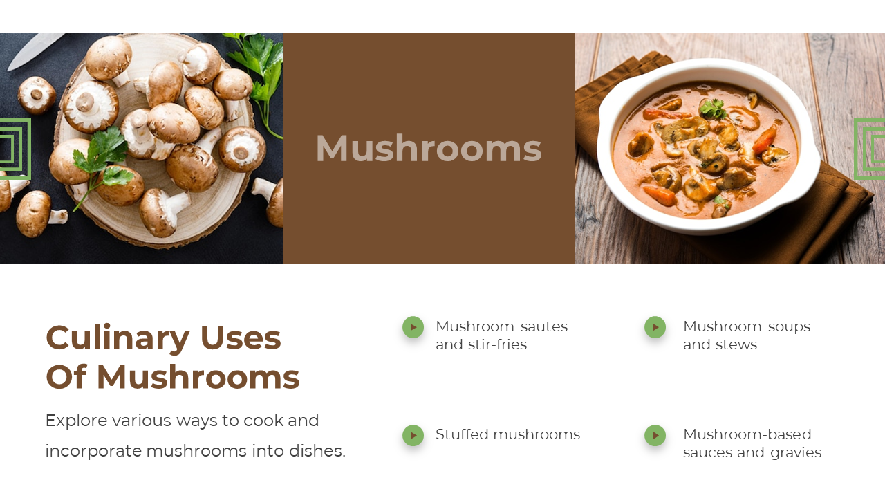 Triple layout shows mushrooms on wood, brown title in center, and mushroom curry, below are four text items with icons.