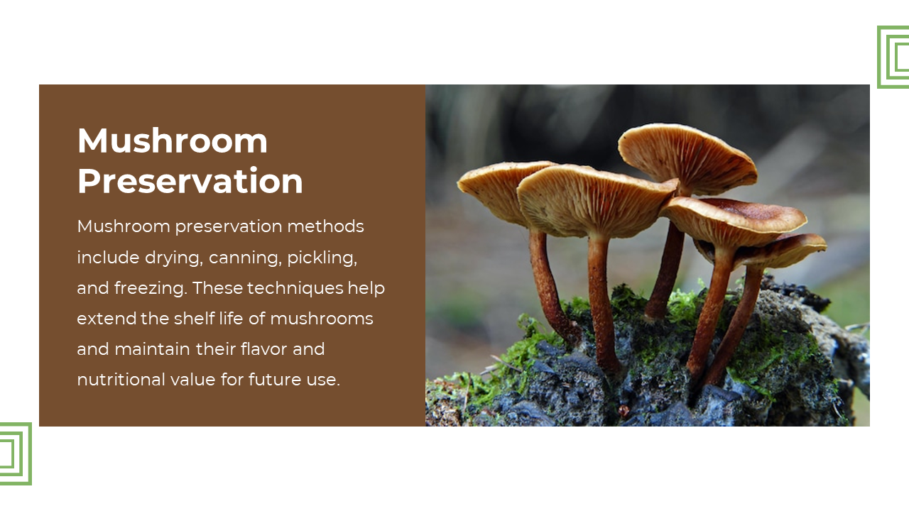Slide with brown text box on left and right side shows cluster of orange and brown mushrooms growing on mossy surface.