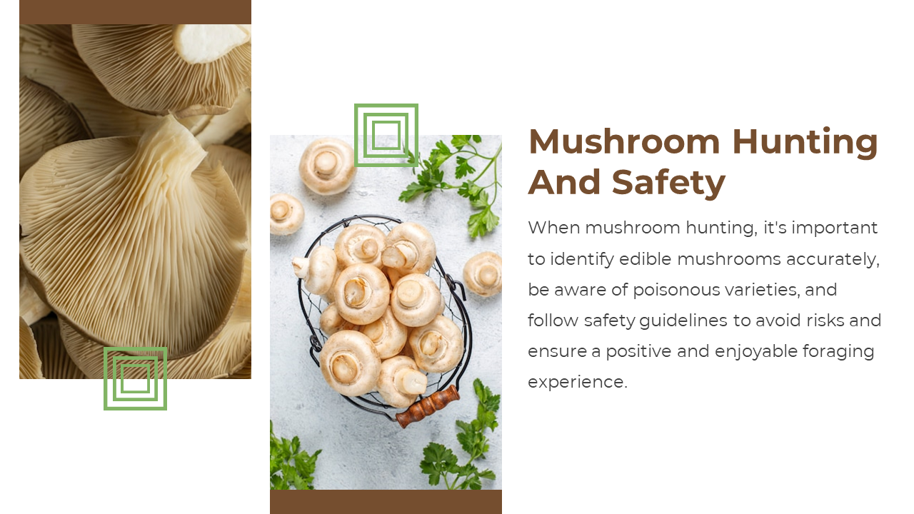 Slide shows brown text on right, center image of mushrooms in a basket, and large tan gill close up on the left side.