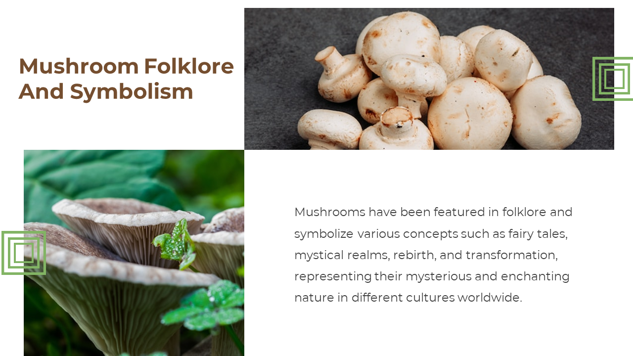 Split layout with top mushrooms on dark background, bottom on green leaves, with brown title and text on white background.