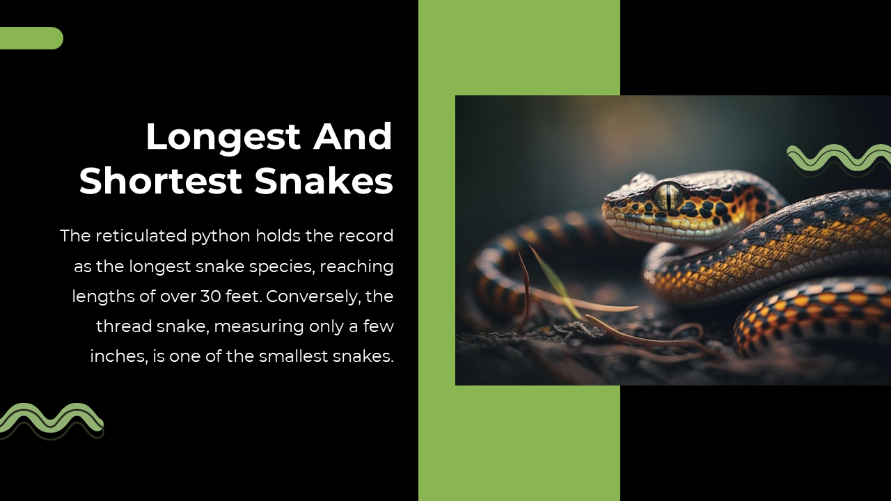 79442-snake-powerpoint-template-16