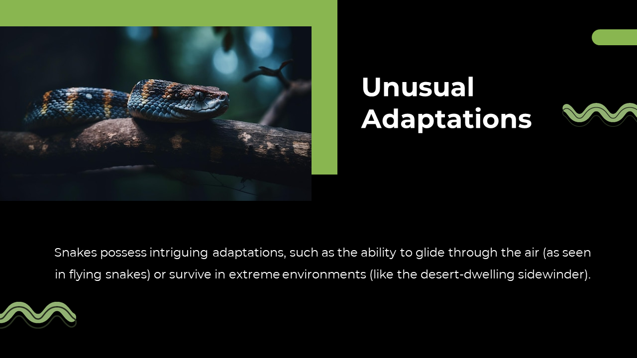 79442-snake-powerpoint-template-19