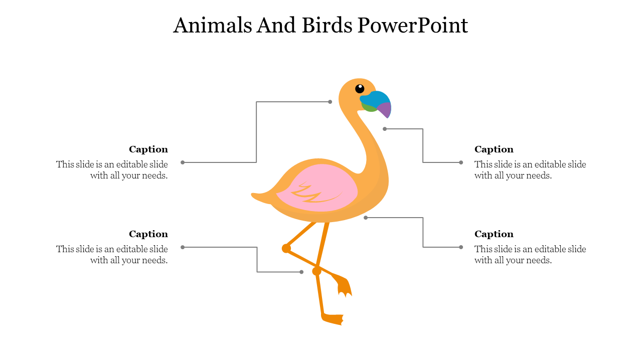 79486-animals-and-birds-powerpoint-template-21