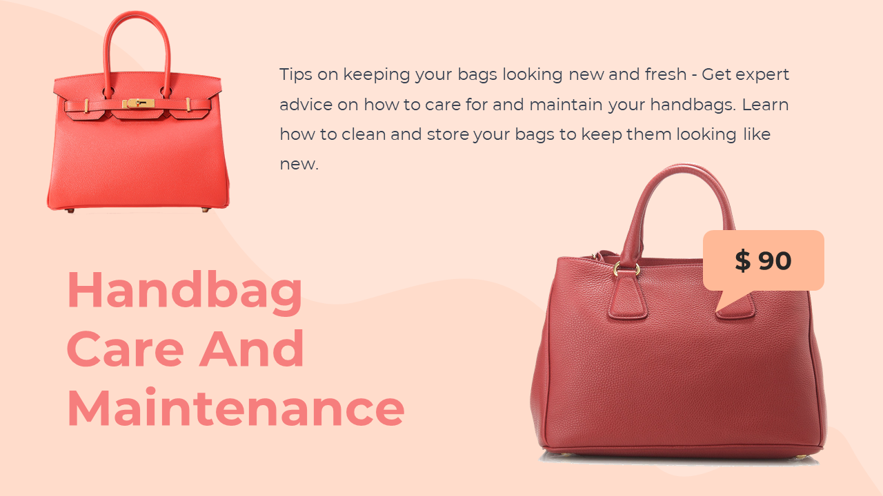 83552-handbag-powerpoint-presentation-template-08