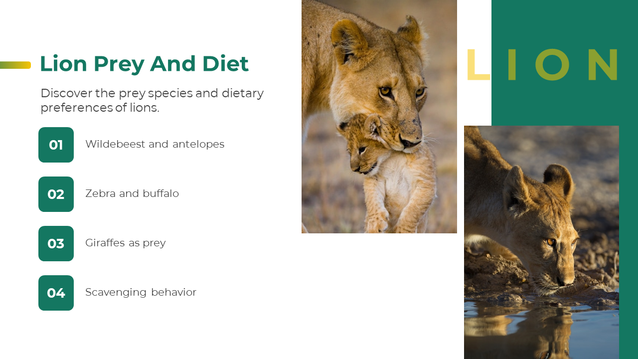 Layout with lion images and text on habitats, emphasizing open spaces, water sources, and cover for survival.