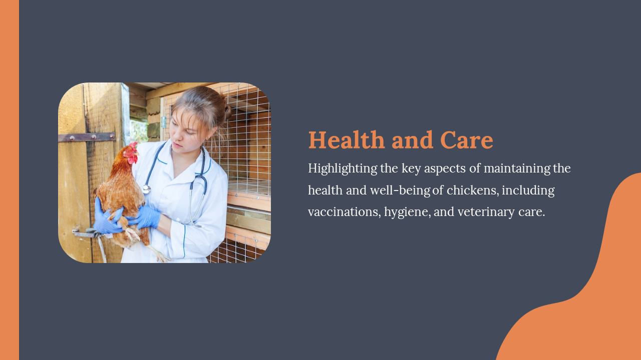 Image of vet with stethoscope and gloves holding chicken, beside orange accented slide text about poultry health practices.