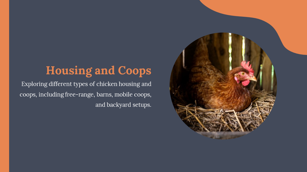 Rounded image of assorted eggs beside dark background text block discussing chicken egg laying and production factors.