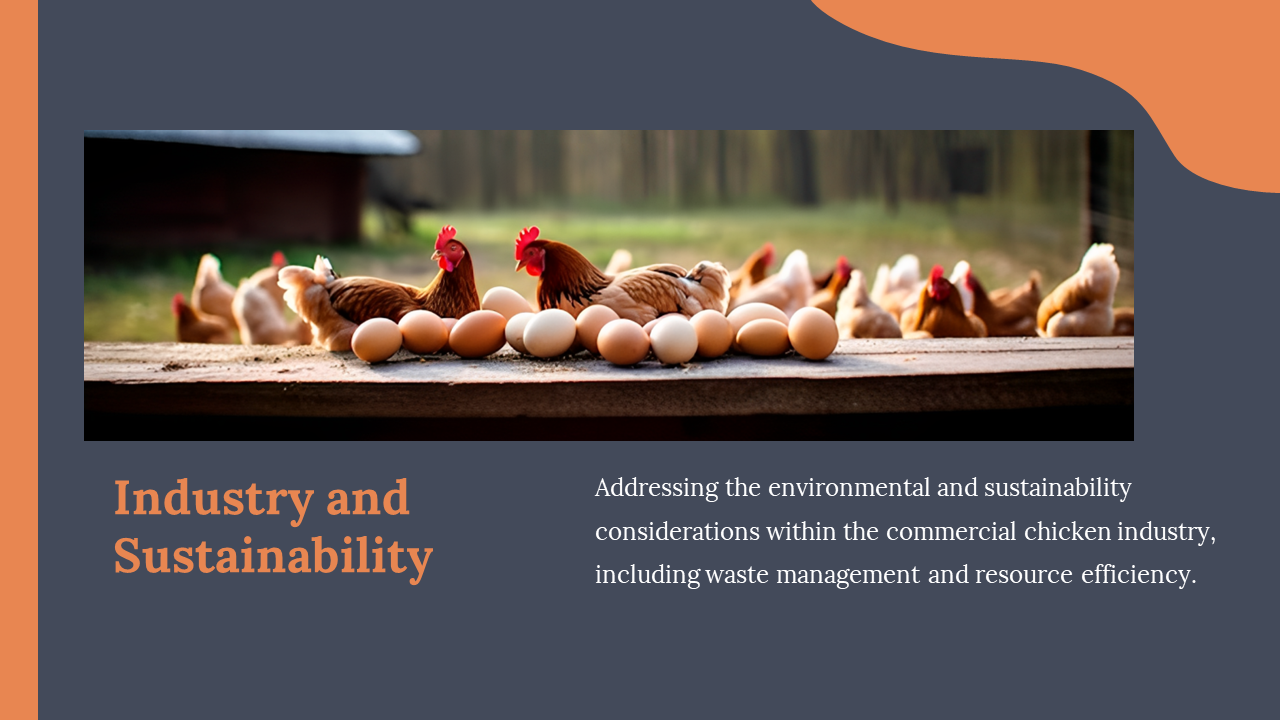 Image of hens near eggs on wooden table, placed above orange-titled section on chicken industry sustainability and practices.