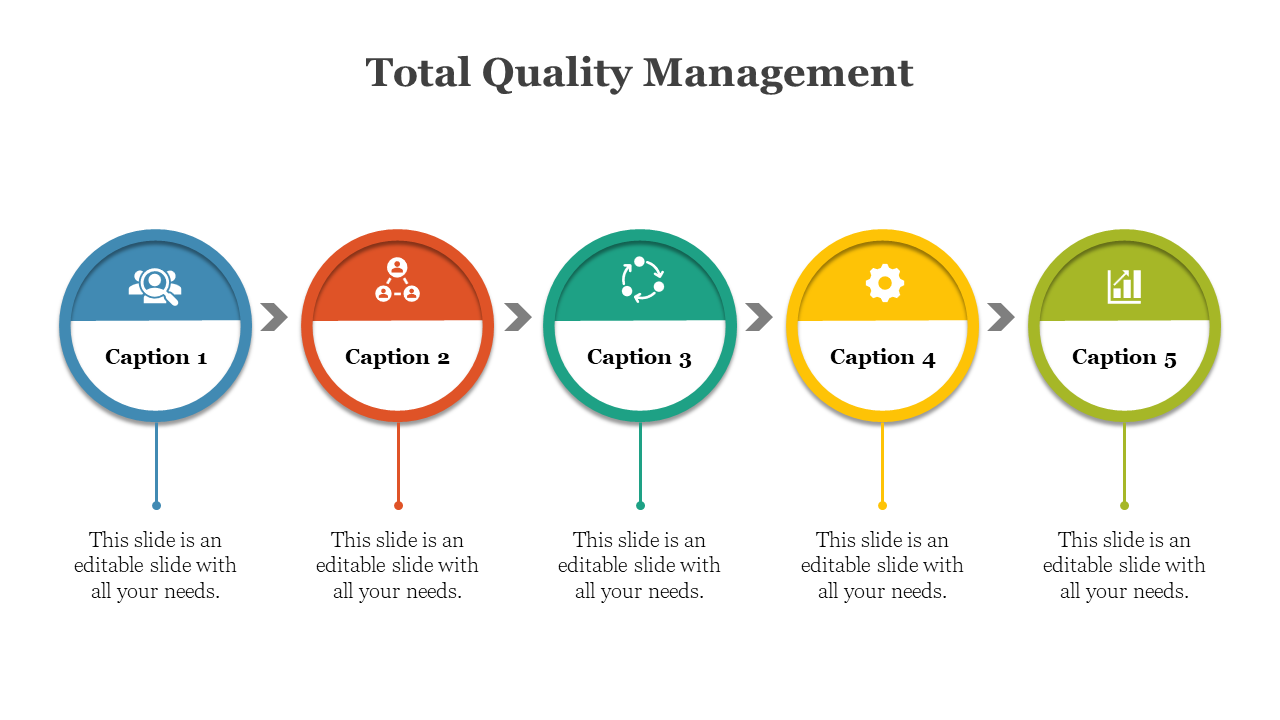 Horizontal Total Quality Management process flow with five colorful round segments and downward pointing captions.