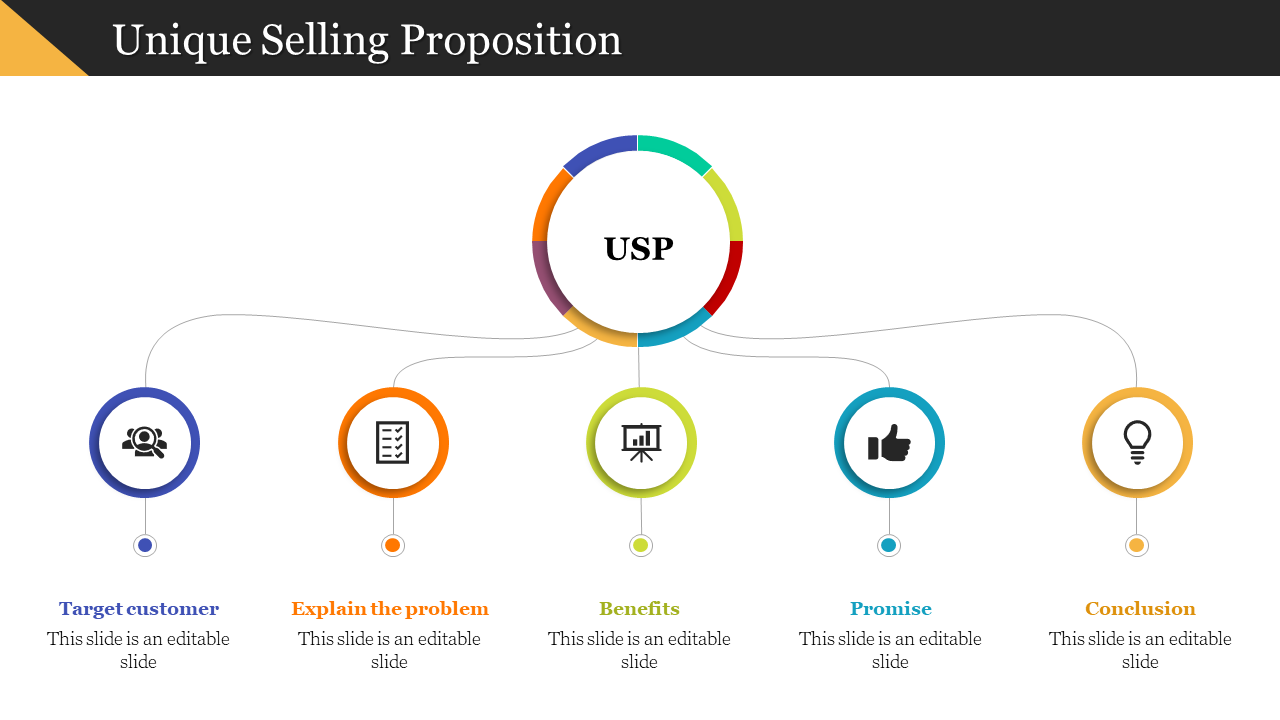 Circular USP diagram with five segments connecting to icons below for target, problem, benefits, promise, and conclusion.