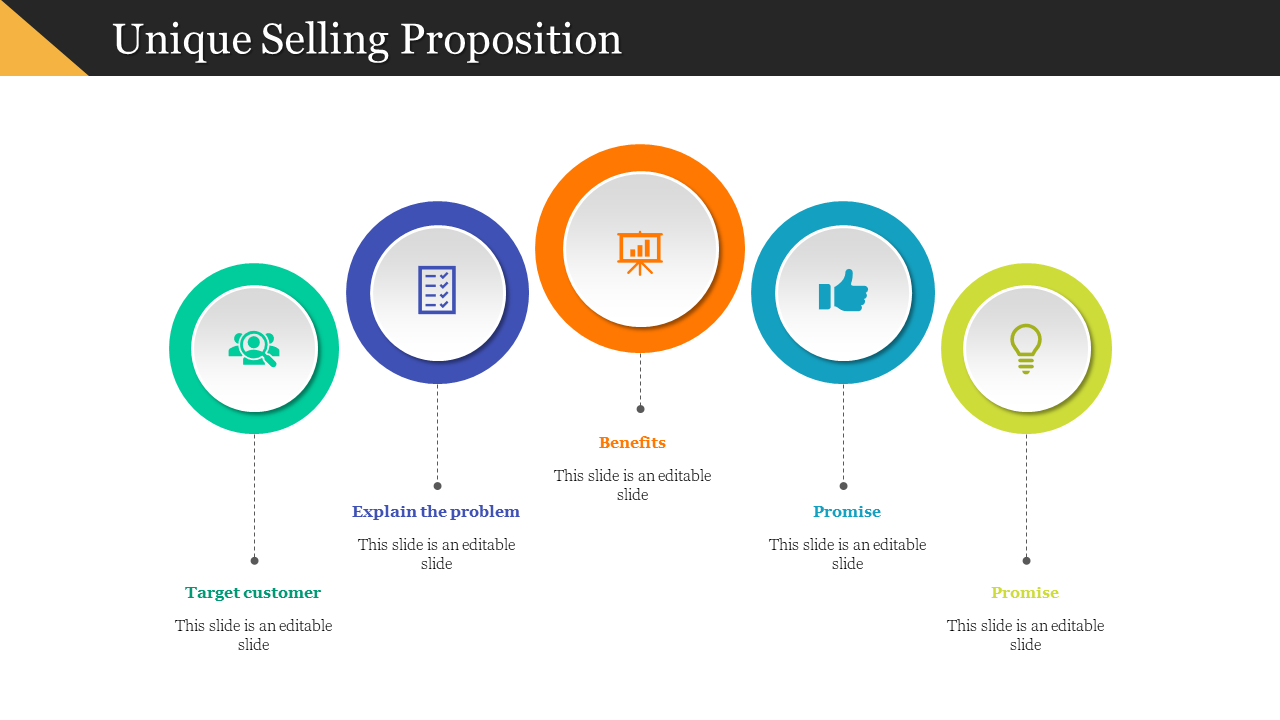 USP slide with five colorful circular icons for target, problem, benefits, promise, and conclusion with dotted line captions.