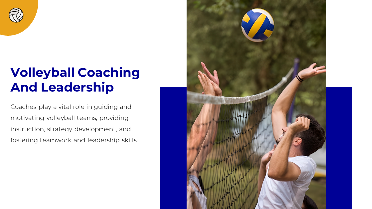 Male players reaching for the volleyball above net, outdoors with blurred trees, showing active coaching and teamwork.