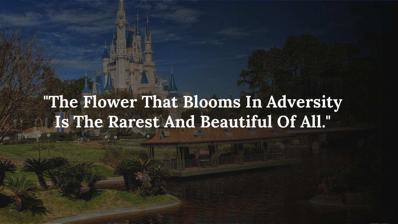 Scenic castle background with a garden and lake, overlaid with a motivational quote centered in bold white text.
