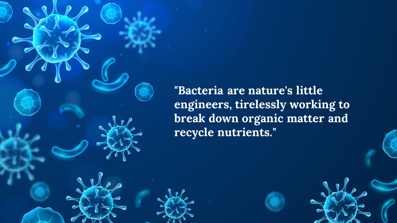 Realistic glowing bacteria and cells on a dark blue background with a quote about their role in recycling organic matter.