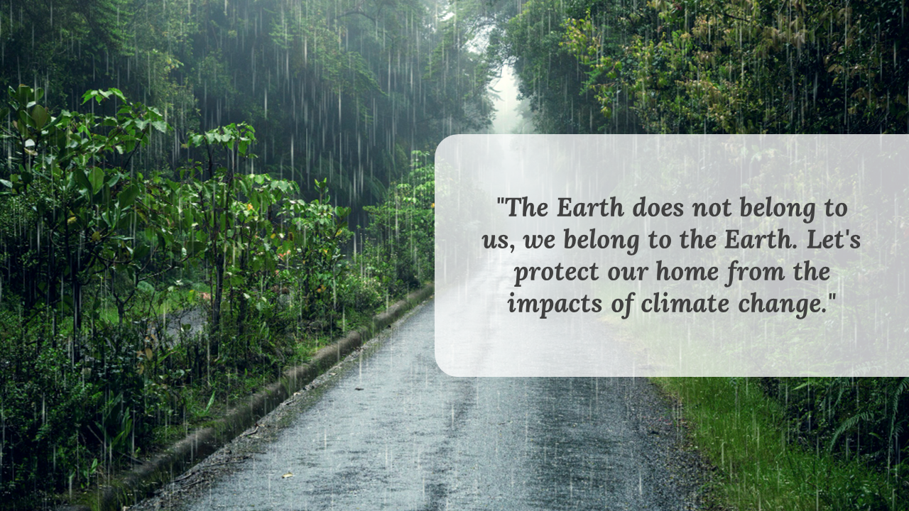 Rainy forest road with thick green foliage, featuring a right-aligned transparent text box with a climate awareness message.