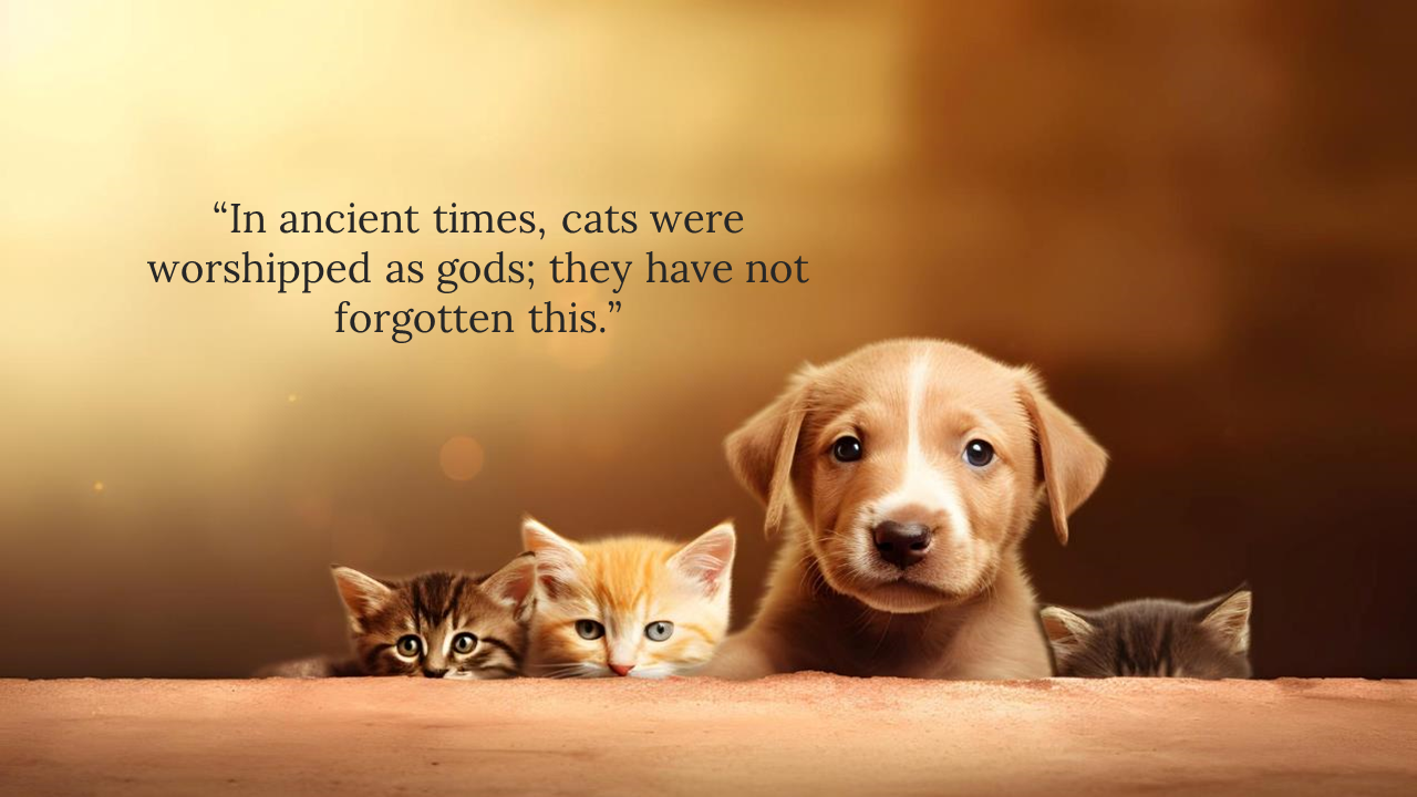 Cute puppy and four kittens in front of a soft golden gradient, with a humorous quote about cats’ divine attitude.