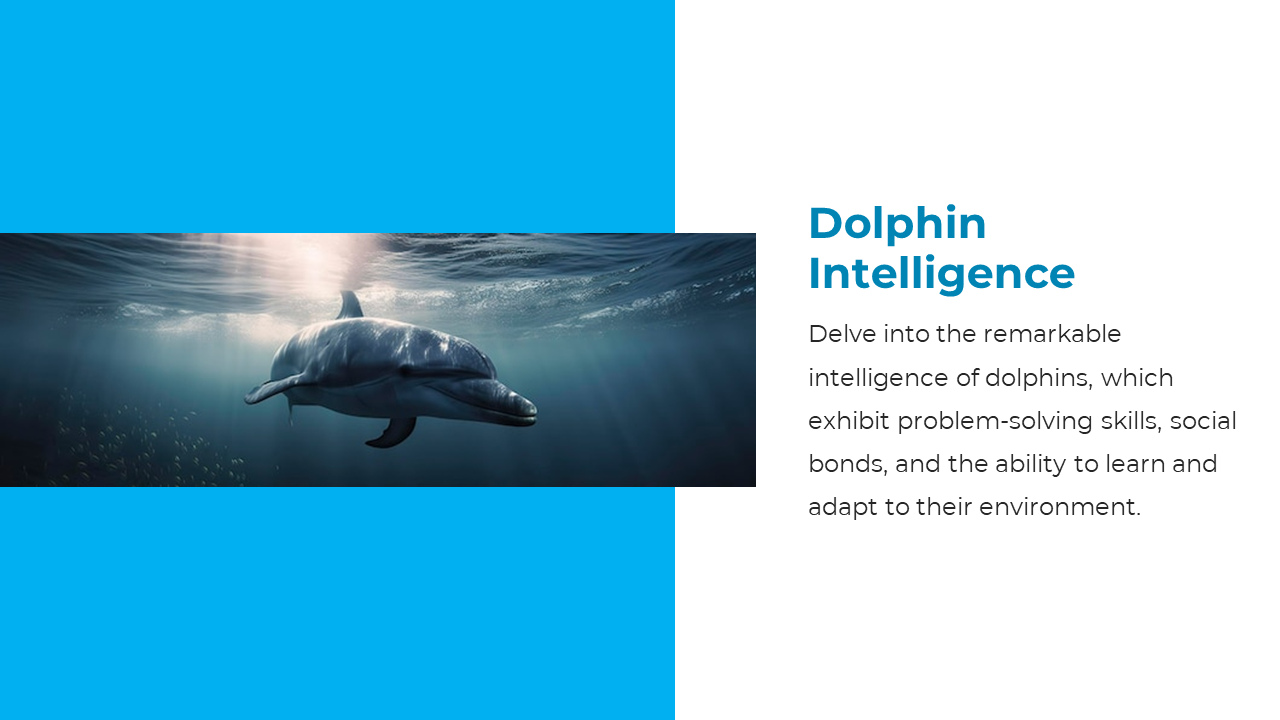 Dolphin swimming underwater with sunlight above, beside text on their intelligence, learning ability, and social behavior.