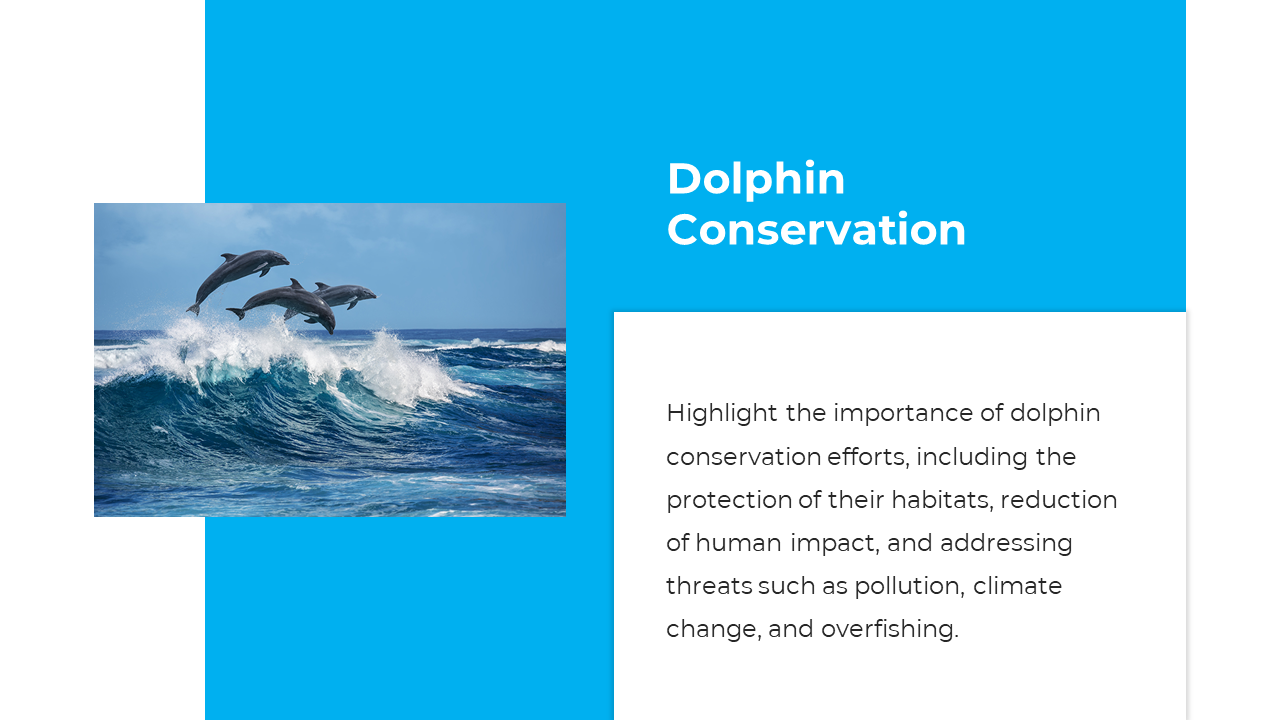 Dolphins jumping in the sea near text about reducing threats like pollution, climate change, and overfishing.