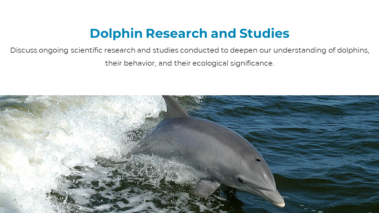 Research slide showing dolphin in ocean with splashing waves, highlighting scientific studies on dolphin behavior.
