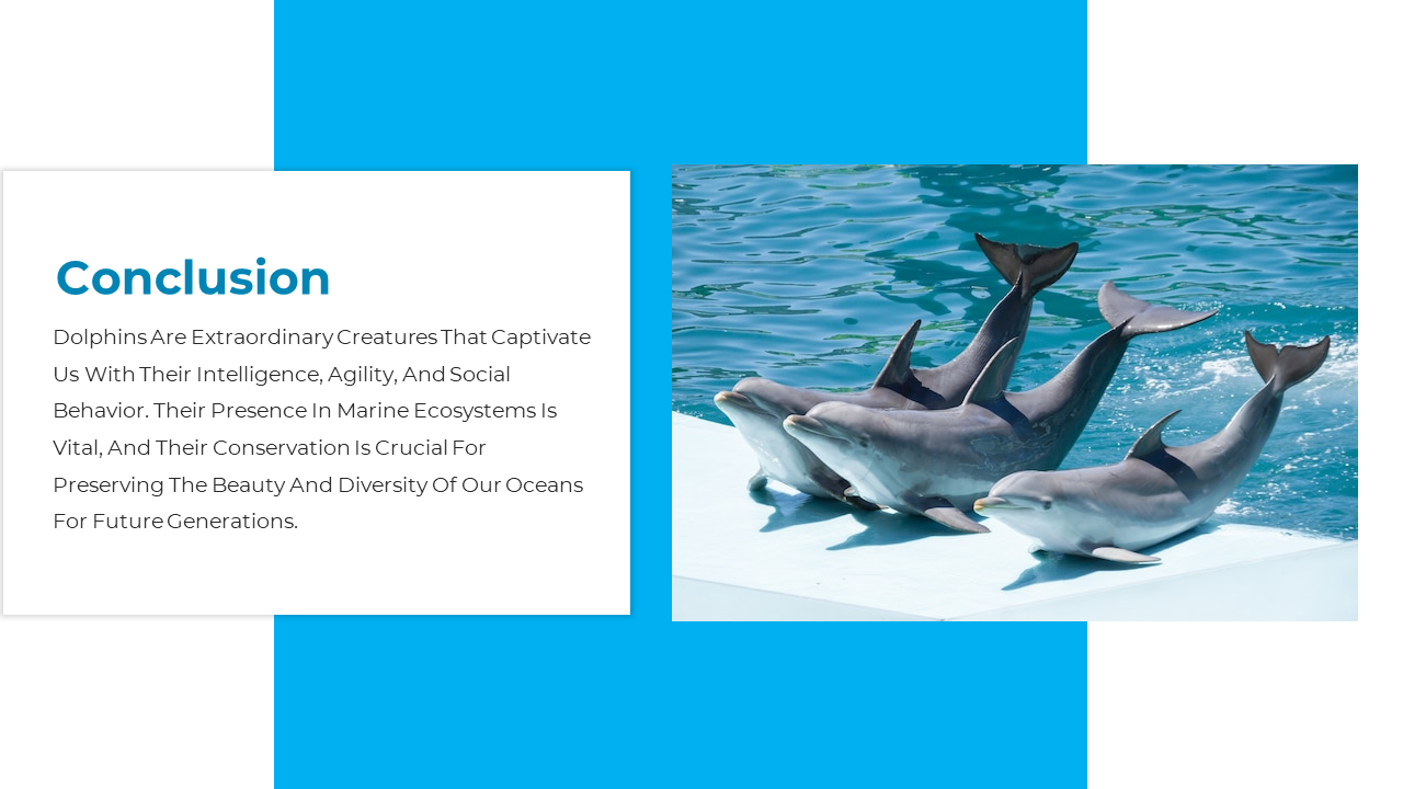 Group of dolphins by the ocean, next to concluding text highlighting their beauty, intelligence, and ecological value.