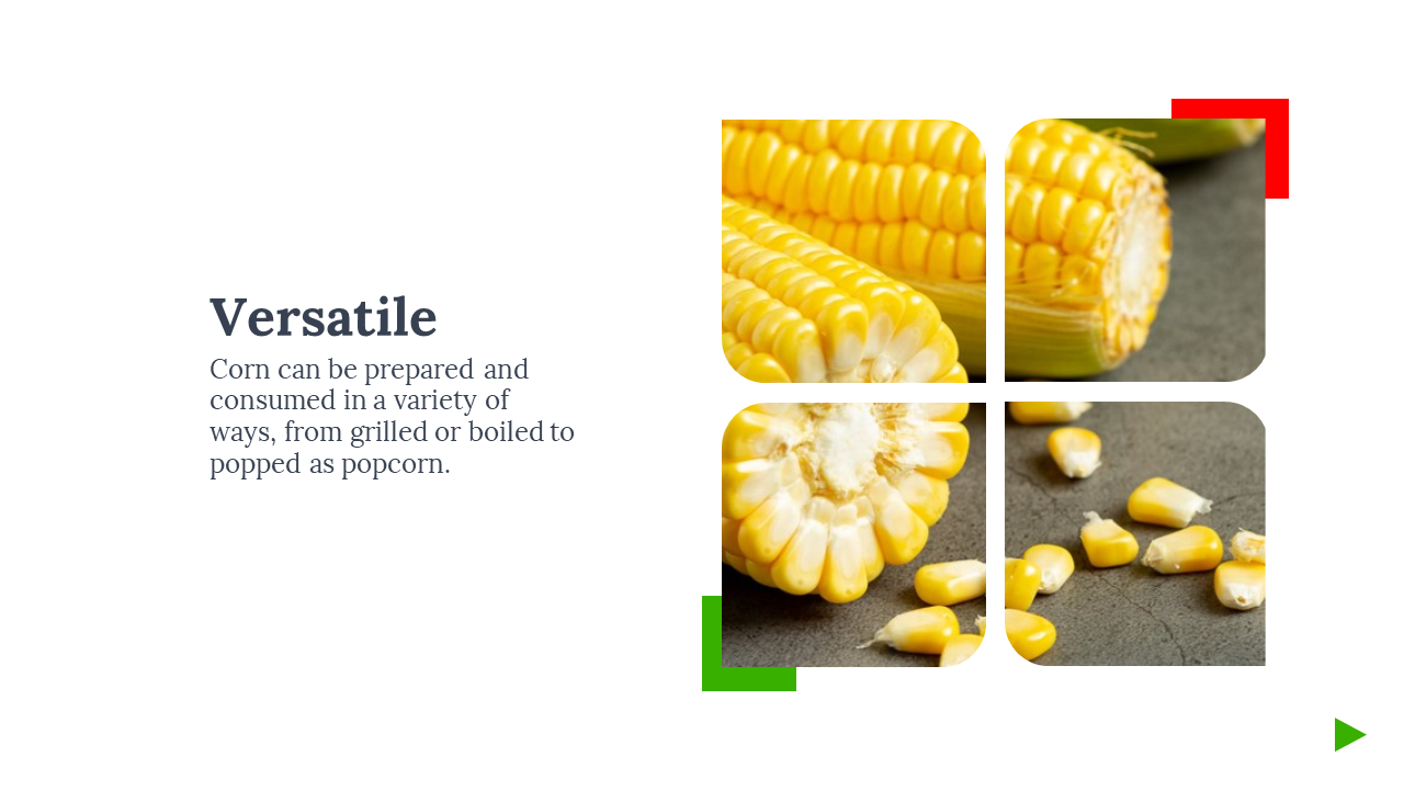 Cubed layout of corn cobs and kernels on the right with green and red corner accents, beside text on corn’s versatility.