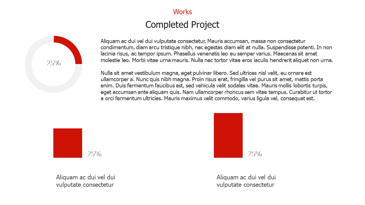 Donut chart showing 25% in red, with two red bar graphs also labeled 25%, placed below text describing a project summary.
