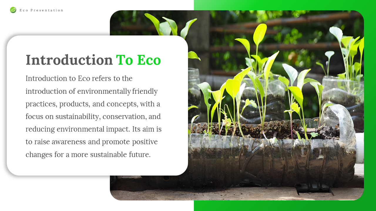 Introduction to Eco, featuring a green plant growing in a plastic bottle, symbolizing eco friendly practices, with text.