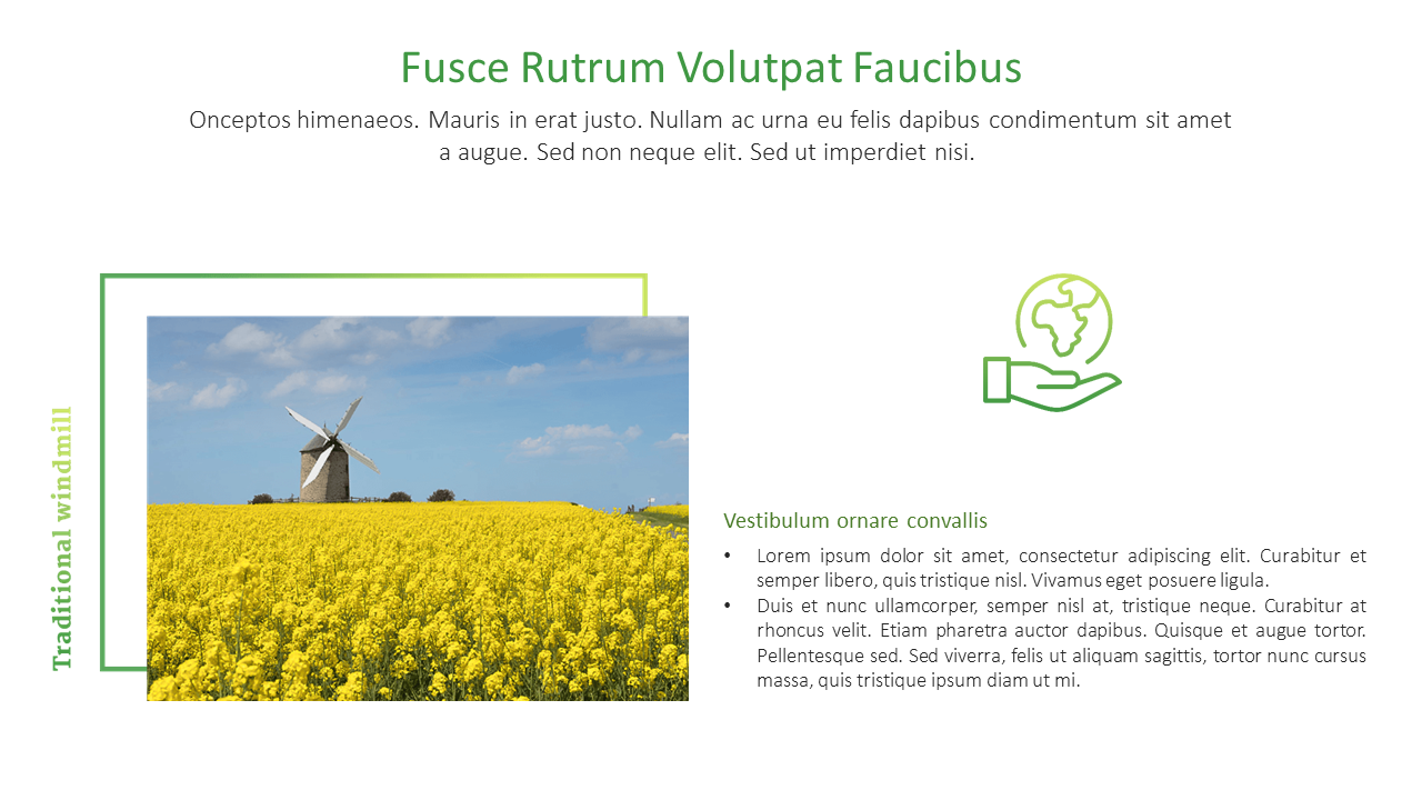 A field of yellow flowers with a traditional windmill, accompanied by the phrase traditional windmill in green text.