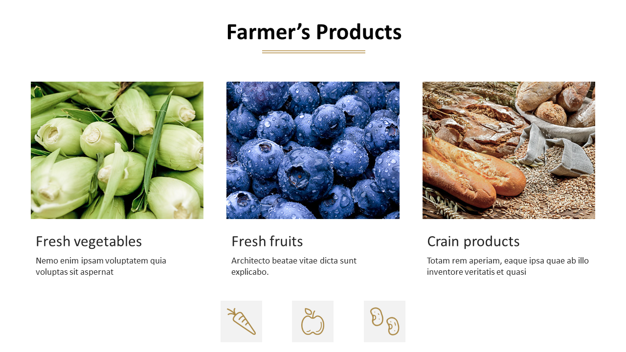 Three product categories featuring fresh vegetables, fruits, and grain products with their respective descriptions and icons.