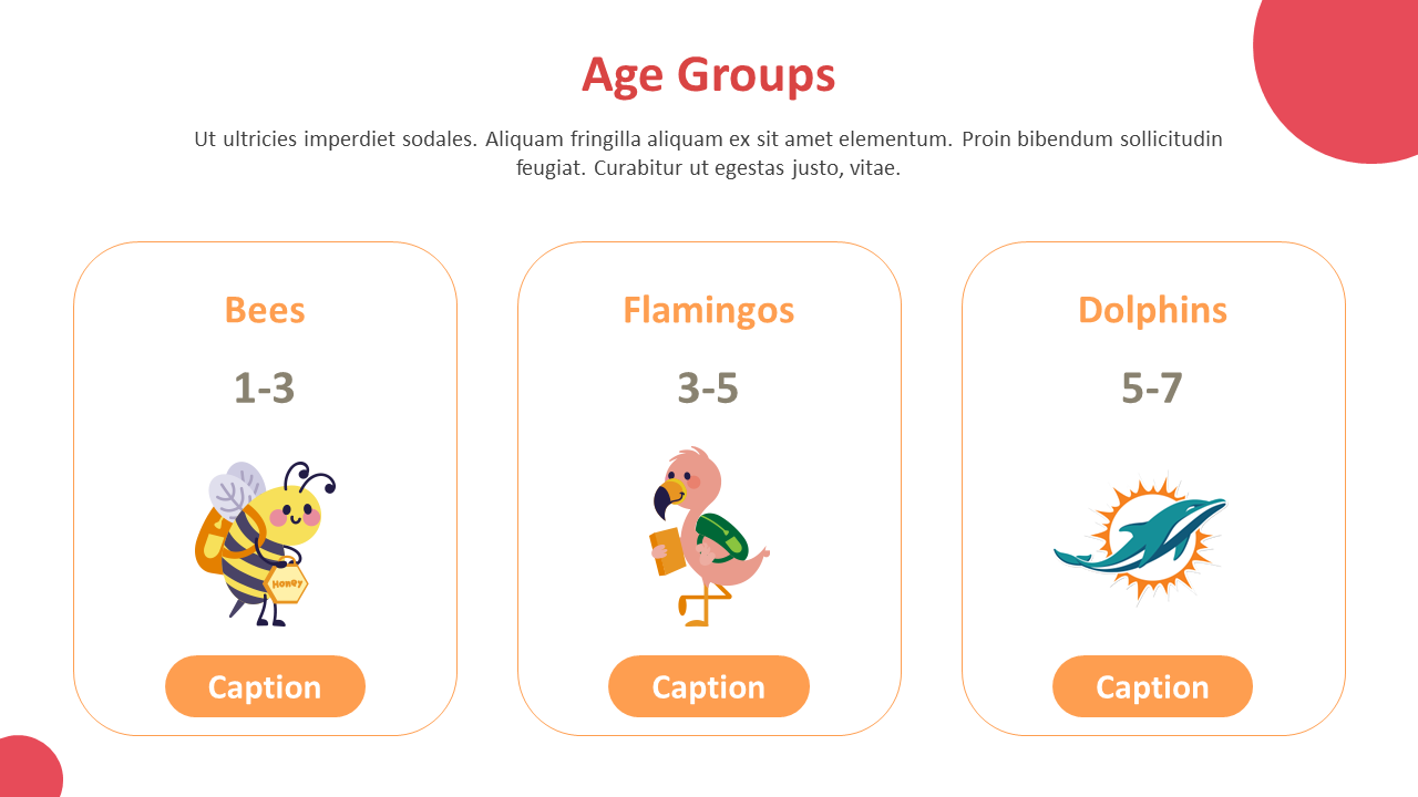 Illustration of three age groups Bees, Flamingos, and Dolphins, each represented with a cute animal character and age range.