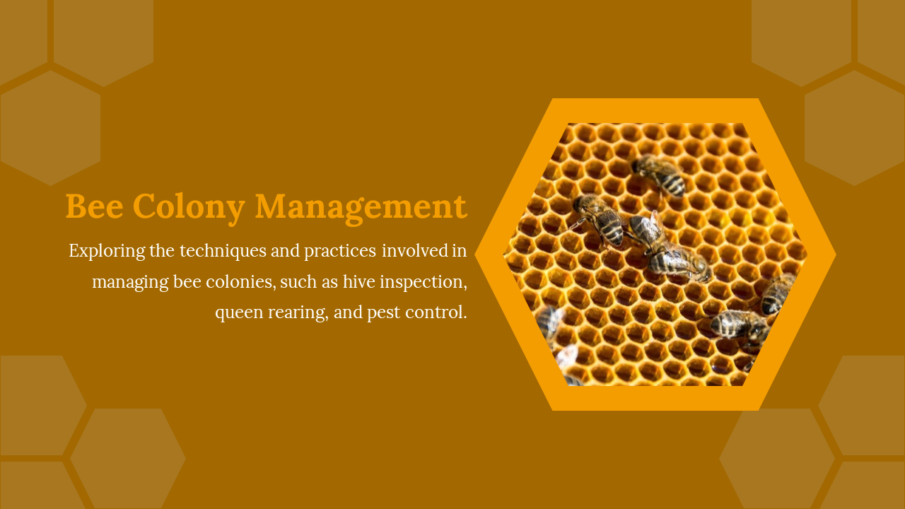 Close up of honeycomb with bees, highlighting the importance of bee colony management.