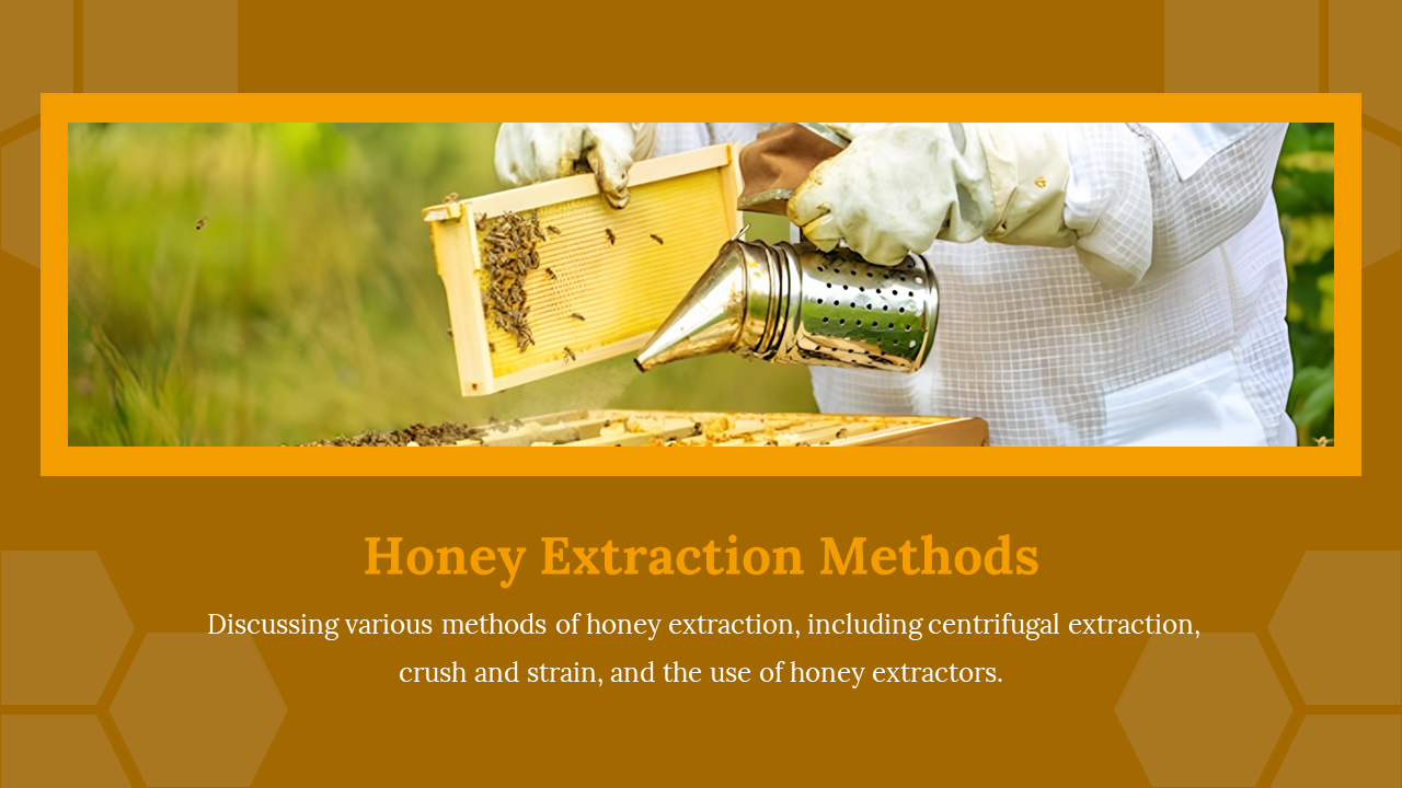 Close up of a beekeeper extracting honey with a smoker and frame, showcasing methods.