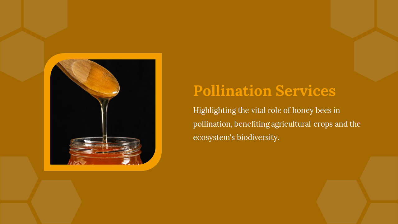 Honey dripping from a wooden dipper into a jar, highlighting the importance of honey bees in pollination for agriculture.