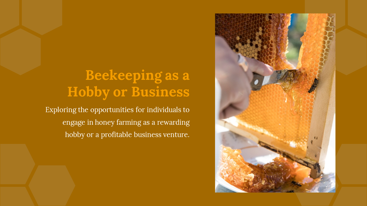 Honey comb being harvested, highlighting beekeeping as a profitable business or a rewarding hobby in honey farming.