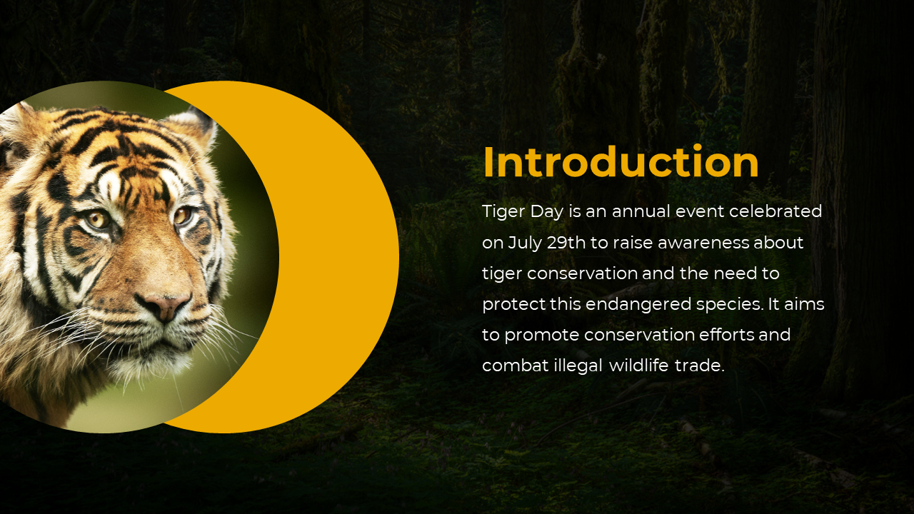 Tiger image on left with yellow circle accent and forest background, paired with paragraph about July 29th Tiger Day.