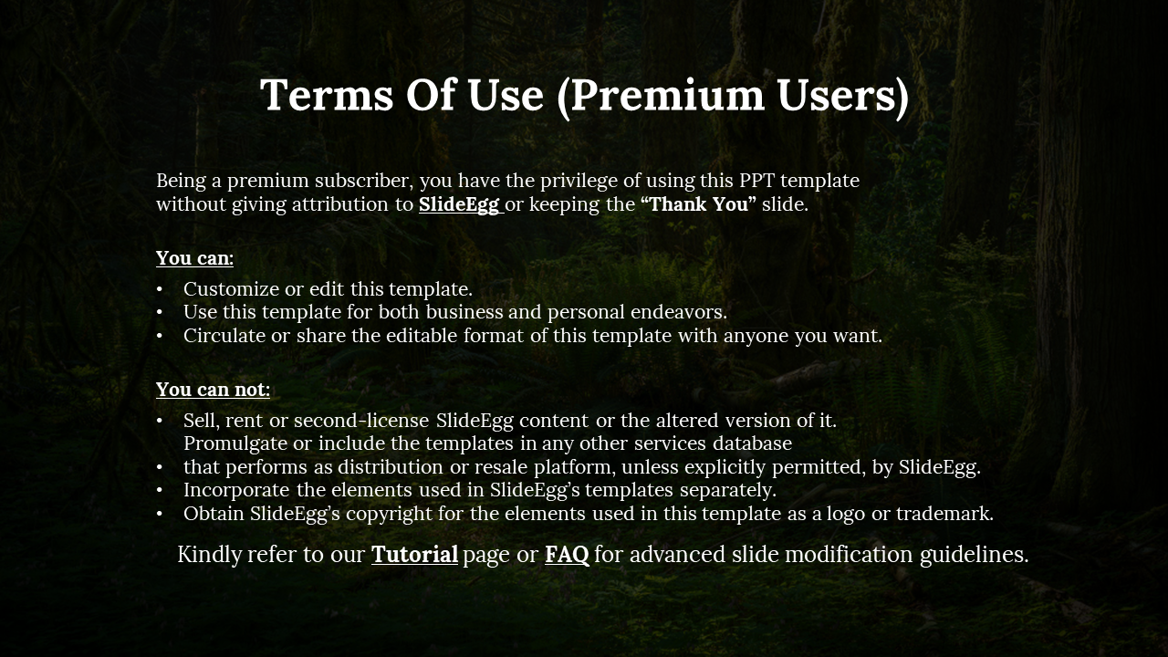 Premium terms slide listing allowed customization and sharing rights, along with restrictions on resale and copyright claims.