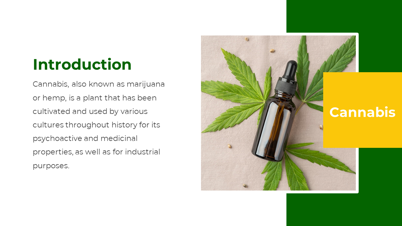 Cannabis leaf layout with a brown bottle, intro paragraph on the left and yellow cannabis tag over the image.