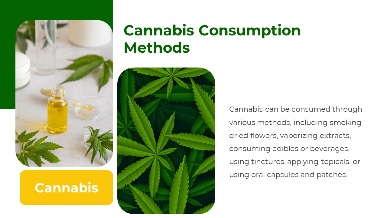 Cannabis leaves and oil dropper bottles slide shown beside text describing various consumption methods.