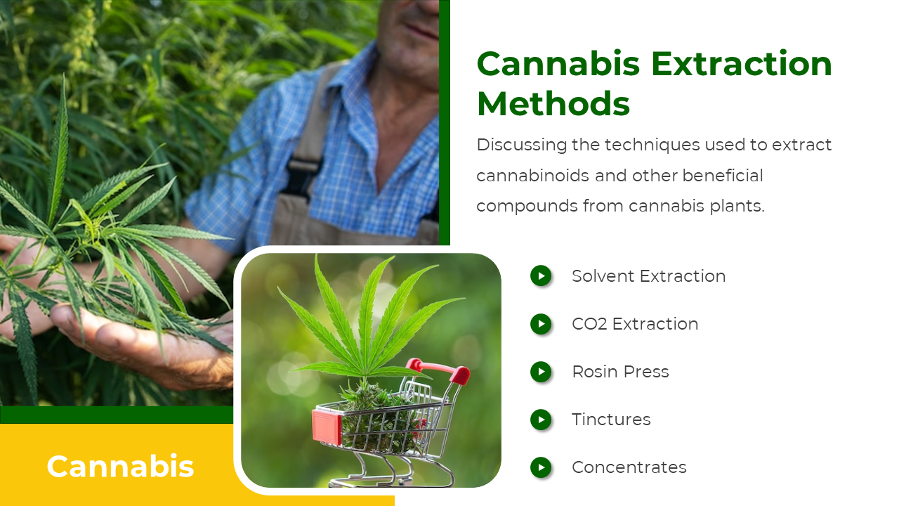 Farmer holding cannabis plant beside inset of a cannabis leaf in a shopping cart and a list of extraction methods.